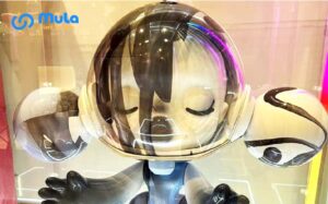 開箱|SKULLPANDA α 融 1000% 到我家!這麼美、這麼大隻,全球限量 2999 件!